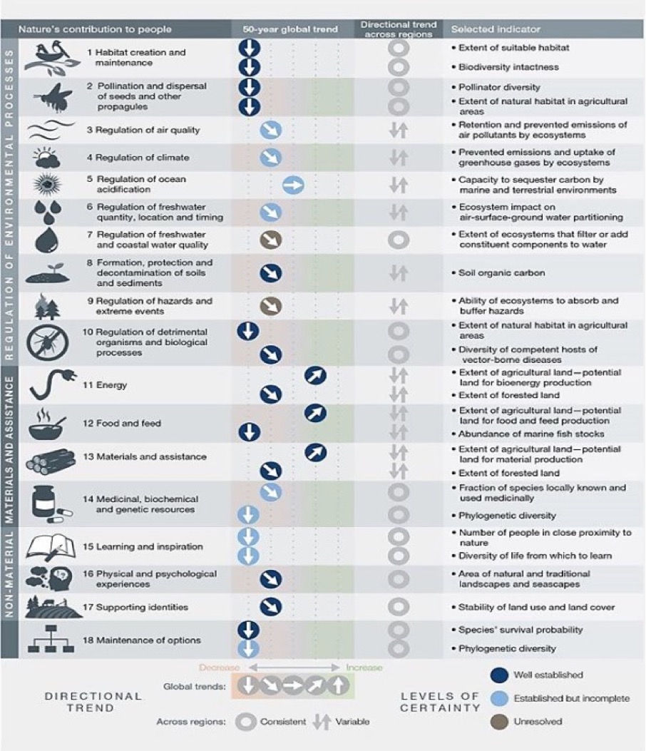 Chart2